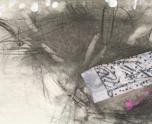 Feature - Clear Cut One