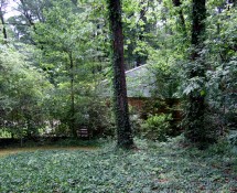 Site Looking East