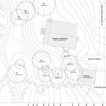 Existing Site Conditions