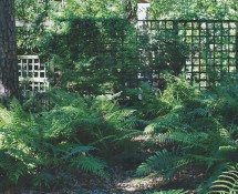 03 Native Shade Garden, Louisiana_2
