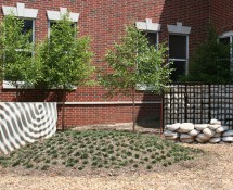06 Sculpture Court_1