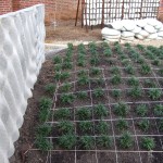 Court Yard Construction 4