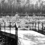 Access Bridge